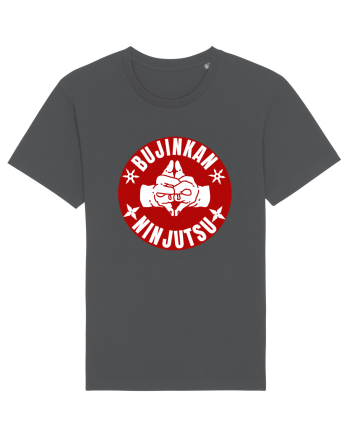 Bujinkan Ninjutsu  Anthracite