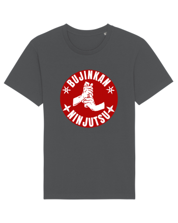 Bujinkan Ninjutsu  Anthracite