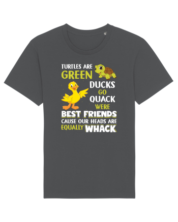 Turtles And Ducks Anthracite