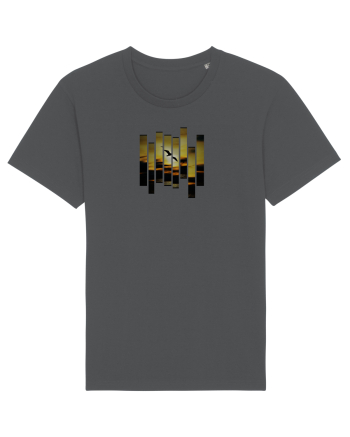 Fly Anthracite
