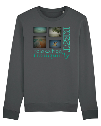 Rest Anthracite