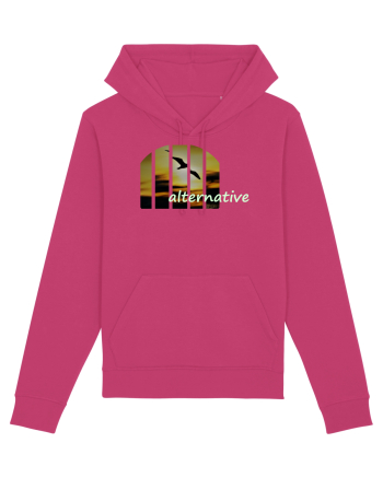 Alternative Raspberry