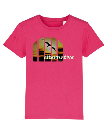 Alternative Raspberry
