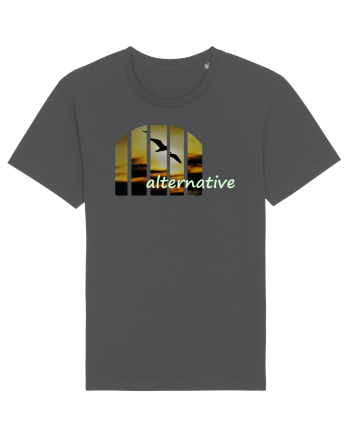 Alternative Anthracite