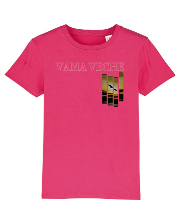 Vama Veche Pescarus Raspberry