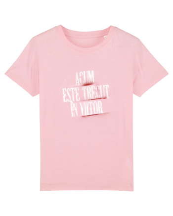Acum este trecut la viitor (white spray) Cotton Pink