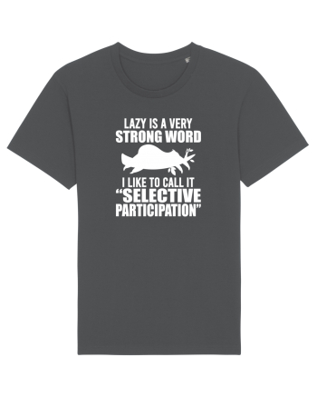 Lazy is a very strong word Anthracite