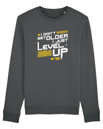 I level Up Anthracite