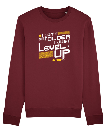 I level Up Burgundy