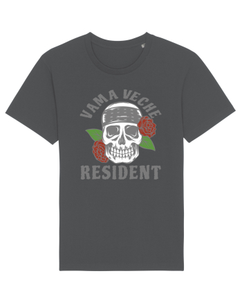 Resident Vama Veche Anthracite