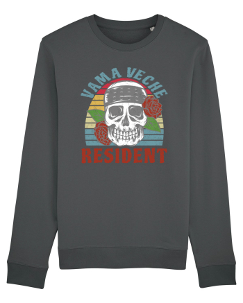 Resident Vama Veche Anthracite