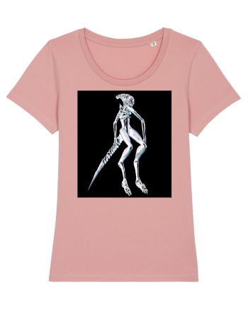 Xenomorph Canyon Pink