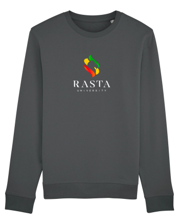 Rasta University Lion Logo Anthracite