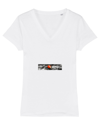 Ladybug White
