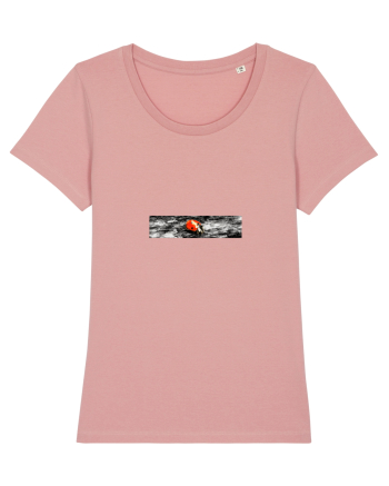 Ladybug Canyon Pink