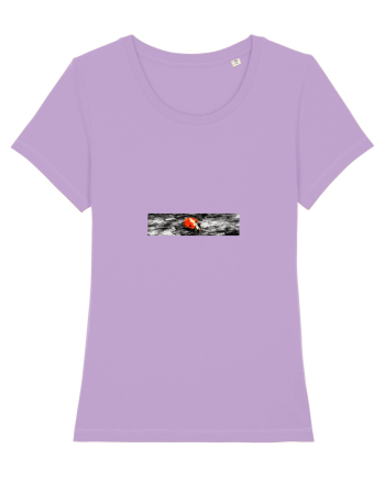 Ladybug Lavender Dawn
