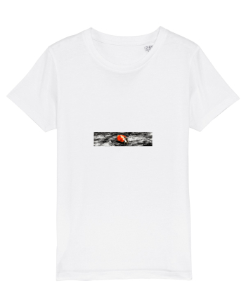 Ladybug White