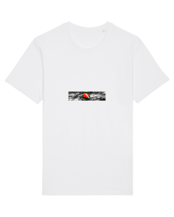 Ladybug White
