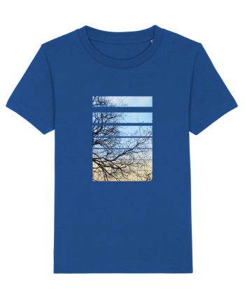 Piese de pe Cer Majorelle Blue