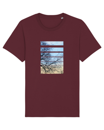 Piese de pe Cer Burgundy