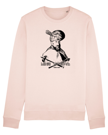 Mihai Viteazul Candy Pink