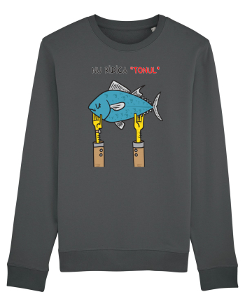 Nu ridica „tonul” Anthracite