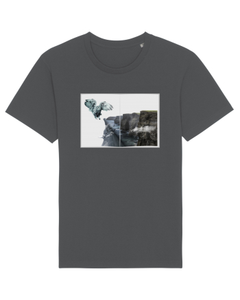 Fantasy Anthracite