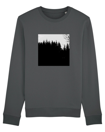 Dark Forest Anthracite