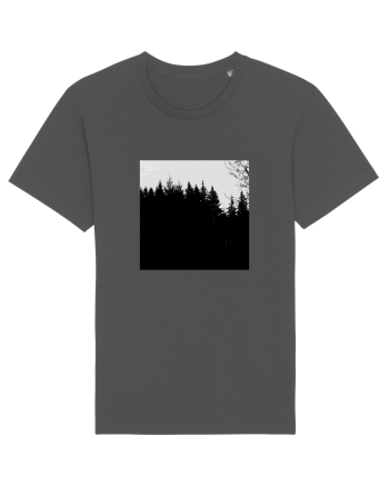 Dark Forest Anthracite