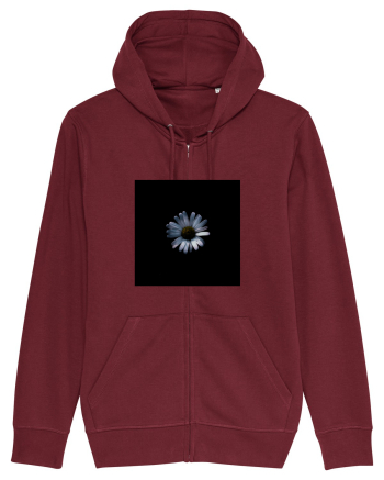 Dark Margaret Burgundy