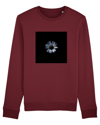 Dark Margaret Burgundy