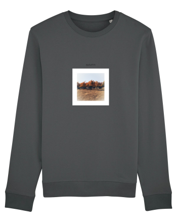 Autumn Frame Anthracite