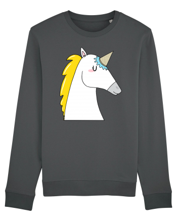 Undercover unicorn Anthracite