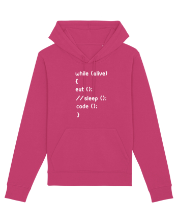 Eat Sleep Code Raspberry