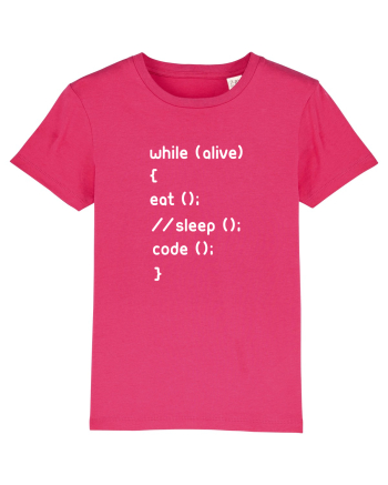 Eat Sleep Code Raspberry