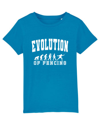 Evolution Of Fencing Azur