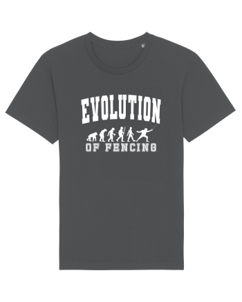 Evolution Of Fencing Anthracite