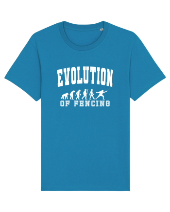 Evolution Of Fencing Azur