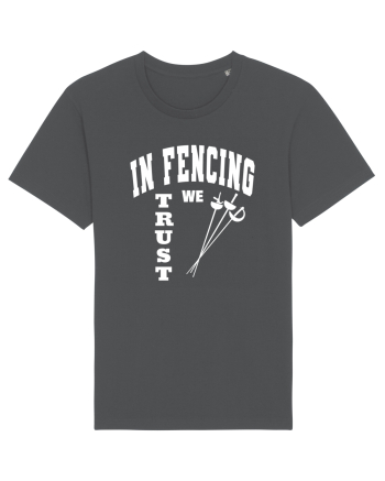 In Fencing We Trust Anthracite