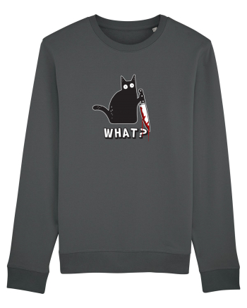 Crazy Killer Cat  Anthracite