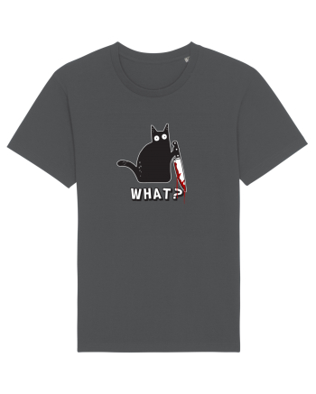Crazy Killer Cat  Anthracite