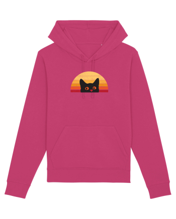 Retro Cat  Raspberry