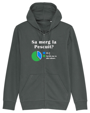 Sa merg la PESCUIT Anthracite