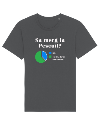 Sa merg la PESCUIT Anthracite