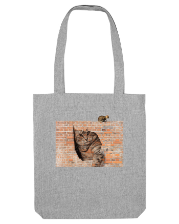Cats on walls  Heather Grey