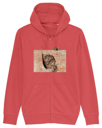 Cats on walls  Carmine Red