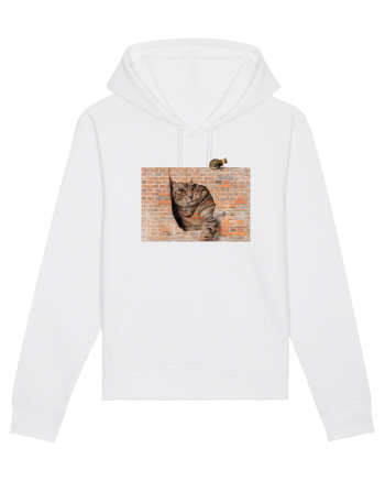 Cats on walls  White