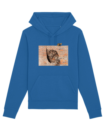 Cats on walls  Royal Blue