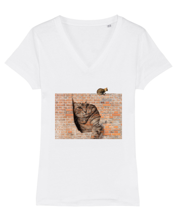 Cats on walls  White
