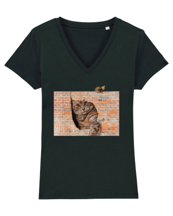 Cats on walls  Black